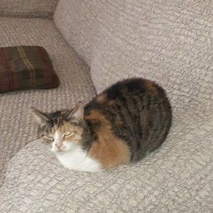 Meet your Posher, Richard